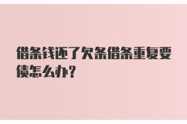 定州为什么选择专业追讨公司来处理您的债务纠纷？